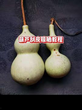 葫芦视频,揭秘奇妙的葫芦世界