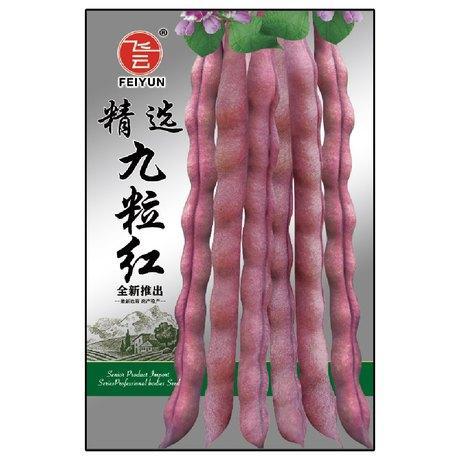 红豆角视频,探寻传统美食的魅力与传承